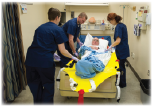 Nosze ewakuacyjne HMH SKED® RESCUE SYSTEM - wersja szpitalna